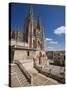 Burgos Cathedral, Burgos, Castilla Y Leon, Spain, Europe-Giles Bracher-Stretched Canvas