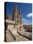 Burgos Cathedral, Burgos, Castilla Y Leon, Spain, Europe-Giles Bracher-Stretched Canvas