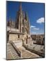 Burgos Cathedral, Burgos, Castilla Y Leon, Spain, Europe-Giles Bracher-Mounted Photographic Print