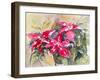 Burgundy Clematis-Mary Smith-Framed Giclee Print