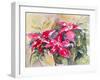 Burgundy Clematis-Mary Smith-Framed Giclee Print