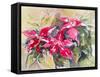 Burgundy Clematis-Mary Smith-Framed Stretched Canvas