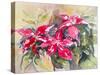 Burgundy Clematis-Mary Smith-Stretched Canvas