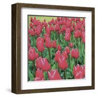 Burgundy Lace-Bent Rej-Framed Giclee Print