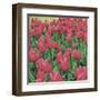 Burgundy Lace-Bent Rej-Framed Giclee Print