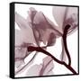 Burgundy  Luster 2-Albert Koetsier-Framed Stretched Canvas