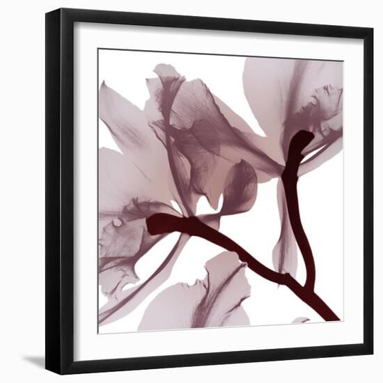 Burgundy  Luster 2-Albert Koetsier-Framed Photographic Print