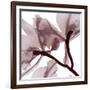 Burgundy  Luster 2-Albert Koetsier-Framed Photographic Print