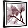 Burgundy  Luster 2-Albert Koetsier-Framed Photographic Print