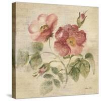 Burgundy Rose on Antique Linen Light-Cheri Blum-Stretched Canvas