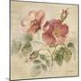 Burgundy Rose on Antique Linen Light-Cheri Blum-Mounted Art Print