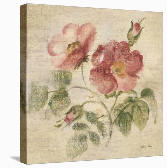 Burgundy Rose on Antique Linen Light-Cheri Blum-Stretched Canvas