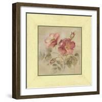 Burgundy Rose-Cheri Blum-Framed Art Print