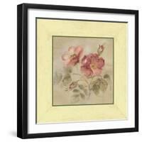 Burgundy Rose-Cheri Blum-Framed Art Print