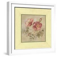 Burgundy Rose-Cheri Blum-Framed Art Print