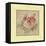 Burgundy Rose-Cheri Blum-Framed Stretched Canvas