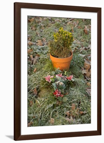 Burial Flowers-Tim Kahane-Framed Photographic Print