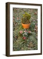 Burial Flowers-Tim Kahane-Framed Photographic Print