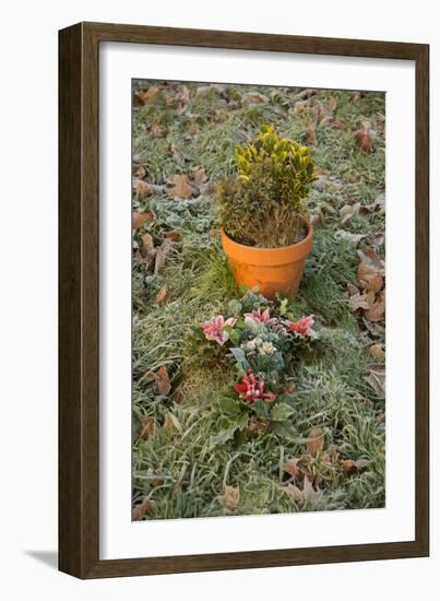 Burial Flowers-Tim Kahane-Framed Photographic Print