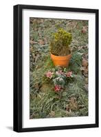 Burial Flowers-Tim Kahane-Framed Photographic Print