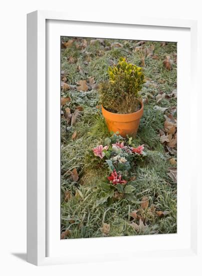 Burial Flowers-Tim Kahane-Framed Photographic Print