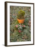 Burial Flowers-Tim Kahane-Framed Photographic Print