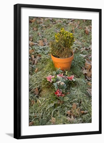 Burial Flowers-Tim Kahane-Framed Photographic Print