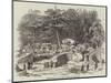 Burial-Ground for the Chinese, at Calcutta-null-Mounted Giclee Print