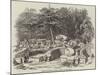 Burial-Ground for the Chinese, at Calcutta-null-Mounted Giclee Print