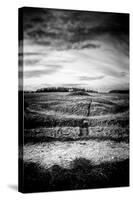 Burial Mounds-Rory Garforth-Stretched Canvas