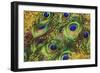 Buried Treasure I-Tina Lavoie-Framed Giclee Print