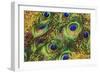 Buried Treasure I-Tina Lavoie-Framed Giclee Print