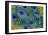 Buried Treasure IV-Tina Lavoie-Framed Giclee Print