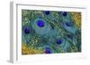 Buried Treasure IV-Tina Lavoie-Framed Giclee Print