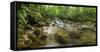 Burio River (Rio Burio), La Fortuna, Arenal, Alajuela Province, Costa Rica, Central America-Matthew Williams-Ellis-Framed Stretched Canvas