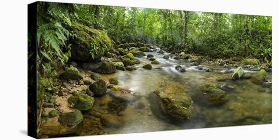 Burio River (Rio Burio), La Fortuna, Arenal, Alajuela Province, Costa Rica, Central America-Matthew Williams-Ellis-Stretched Canvas