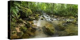 Burio River (Rio Burio), La Fortuna, Arenal, Alajuela Province, Costa Rica, Central America-Matthew Williams-Ellis-Stretched Canvas