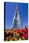 Burj Khalifa 1-Charles Bowman-Stretched Canvas