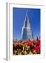 Burj Khalifa 1-Charles Bowman-Framed Premium Photographic Print