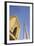 Burj Khalifa and Souk Al Bahar, Dubai, United Arab Emirates, Middle East-Amanda Hall-Framed Photographic Print