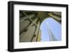 Burj Khalifa and Souk Al Bahar, Dubai, United Arab Emirates, Middle East-Amanda Hall-Framed Photographic Print