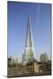 Burj Khalifa, Dubai, United Arab Emirates, Middle East-Amanda Hall-Mounted Photographic Print