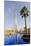 Burj Khalifa, Dubai, United Arab Emirates, Middle East-Amanda Hall-Mounted Photographic Print