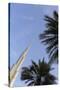 Burj Khalifa, Dubai, United Arab Emirates, Middle East-Amanda Hall-Stretched Canvas