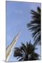 Burj Khalifa, Dubai, United Arab Emirates, Middle East-Amanda Hall-Mounted Photographic Print