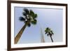 Burj Khalifa, Dubai, United Arab Emirates, Middle East-Amanda Hall-Framed Premium Photographic Print