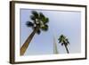 Burj Khalifa, Dubai, United Arab Emirates, Middle East-Amanda Hall-Framed Photographic Print