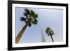 Burj Khalifa, Dubai, United Arab Emirates, Middle East-Amanda Hall-Framed Photographic Print