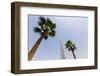 Burj Khalifa, Dubai, United Arab Emirates, Middle East-Amanda Hall-Framed Photographic Print