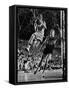 Burke Scott of Hoosiers Basketball Team Leaping Through Air Towards Lay Up Shot at Basketball Hoop-Francis Miller-Framed Stretched Canvas